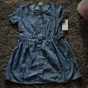 OshKosh B'gosh Blue Button-Down Kids Dress